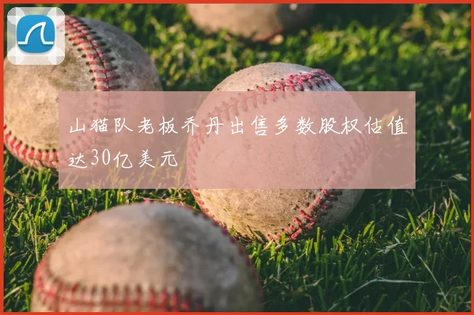 山猫队老板乔丹出售多数股权估值达30亿美元