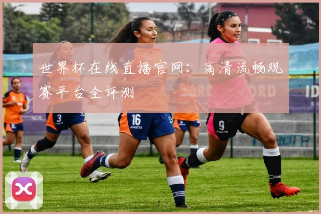 世界杯在线直播官网:高清流畅观赛平台全评测