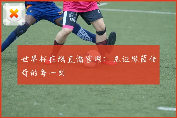 世界杯在线直播官网:见证绿茵传奇的每一刻