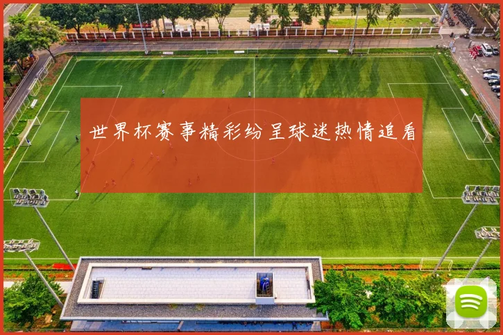 世界杯赛事精彩纷呈球迷热情追看