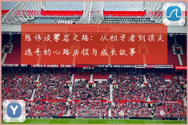 陈伟谈攀岩之路:从初学者到顶尖选手的心路历程与成长故事