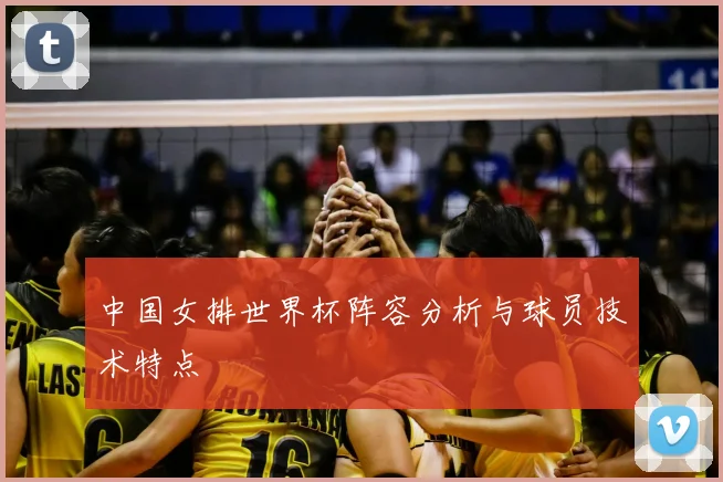 中国女排世界杯阵容分析与球员技术特点