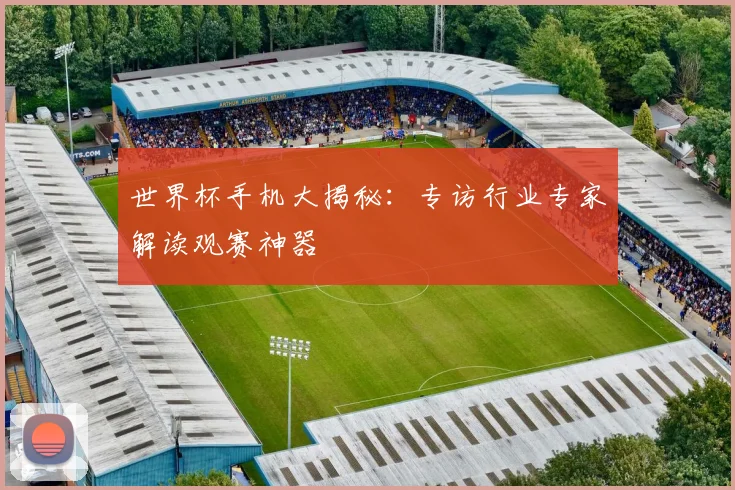 世界杯手机大揭秘:专访行业专家解读观赛神器