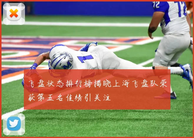 飞盘状态排行榜揭晓上海飞盘队荣获第五名佳绩引关注