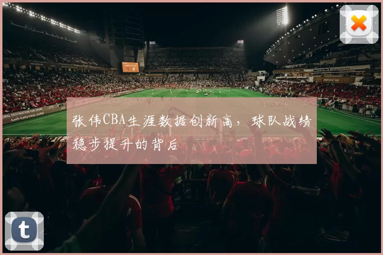 张伟CBA生涯数据创新高，球队战绩稳步提升的背后